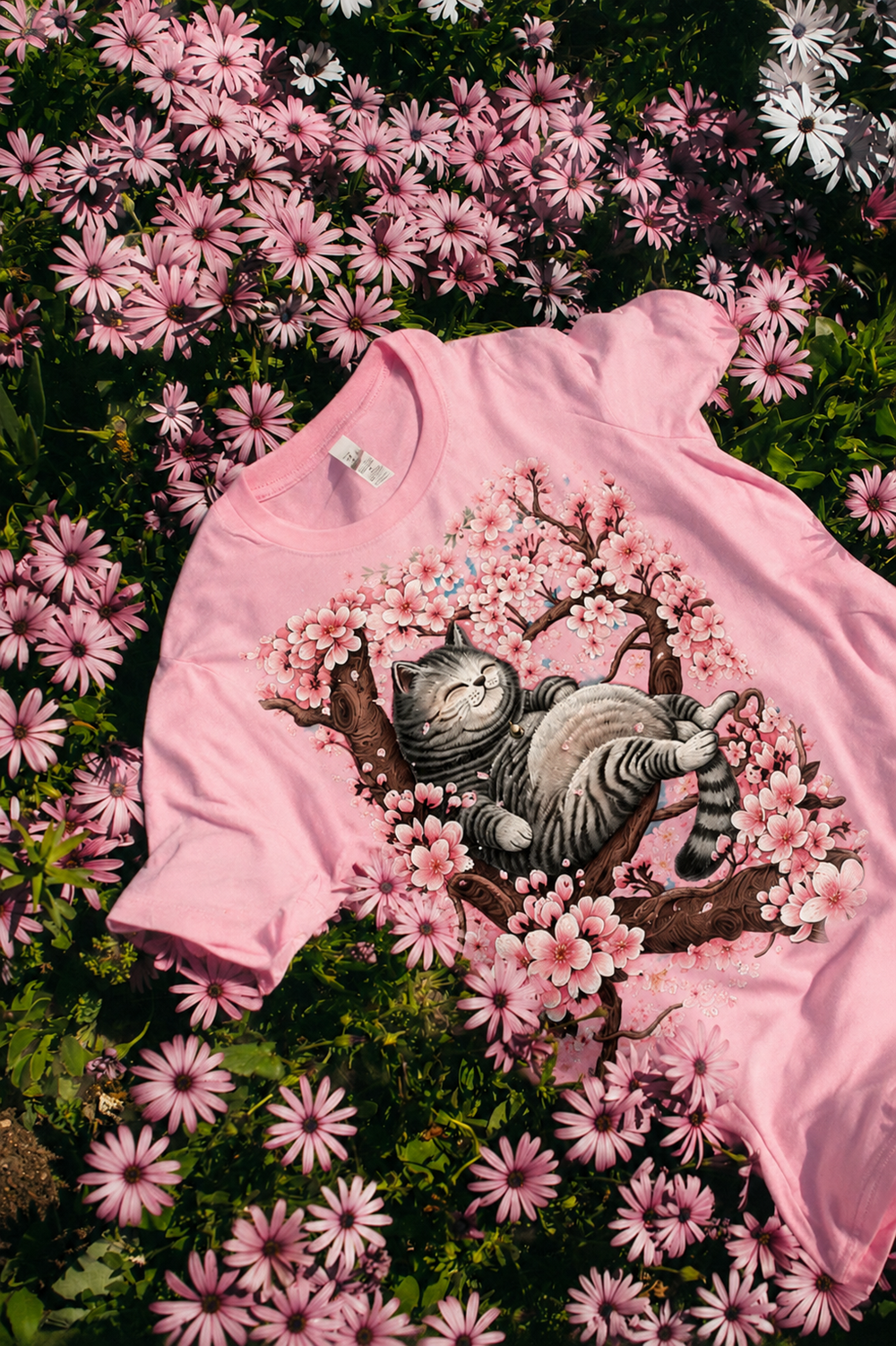 Flowers & Nature